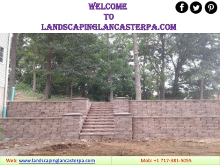 Landscape Maintenance Services