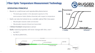 Fiber Optic Sensors, Fiber Optical Temperature Sensor - Rugged Monitoring