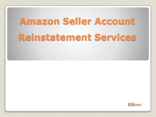 Amazon Seller Account Reinstatement Services