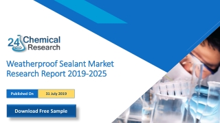 Weatherproof Sealant Market Research Report 2019-2025
