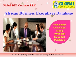 African Business Executives Database