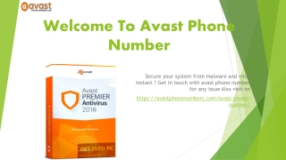 Avast Phone Number Ultimate Solution of Antivirus Problems