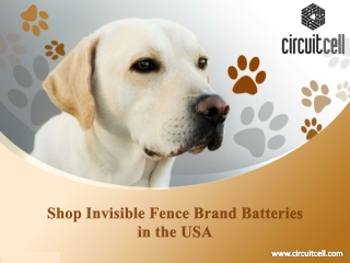 Shop Invisible Fence Brand Batteries in the USA