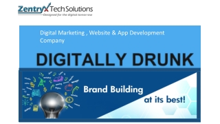 Digital marketing comapany zentryx tech solutions