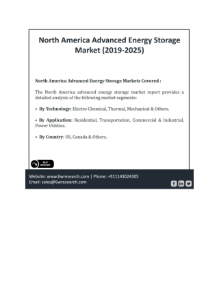 North America Advanced Energy Storage Market (2019-2025)