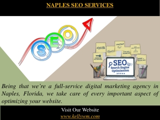 Naples SEO Services