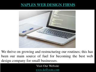 Naples Web Design Firms