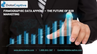 FIRMOGRAPHIC DATA APPEND – THE FUTURE OF B2B MARKETING