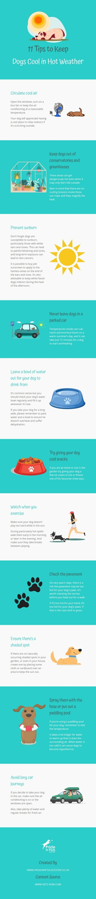 11 Tips to Keep Dogs Cool in Hot Weather