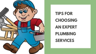 Tips for Choosing an Expert Plumbing Services