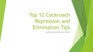 Top 12 tips to organic pest control for cockroaches