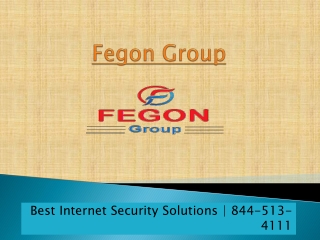 Fegon Group | Providing Best Network Security Solutions | 844-513-4111