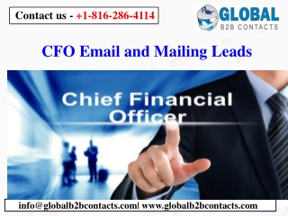 CFO Email and Mailing Leads