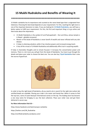 15 Mukhi Rudraksha and Benefits of Wearing It