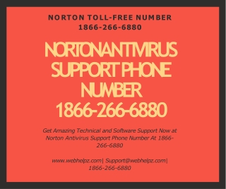 Norton Antivirus Support Phone Number