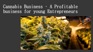 Cannabis Business – A Profitable business for young Entrepreneurs