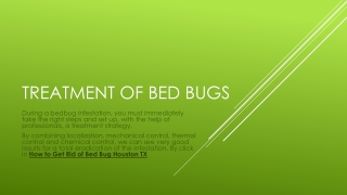 Bed Bugs Exterminator Cost Houston TX