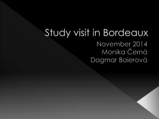 Study visit in Bordeaux