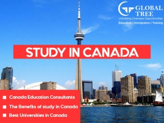 Study in Canada Education Consultants- Global Tree