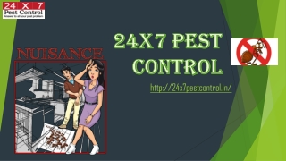 Pest Control Delhi