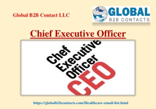 Chief Executive Officer