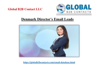 Denmark Director's Email Leads
