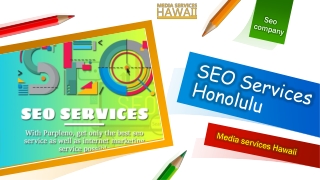 Choose the Best SEO Company in Hawaii