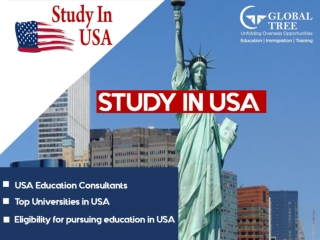 Study in USA’s best universities through Global Tree