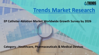 EP Catheter Ablation Market