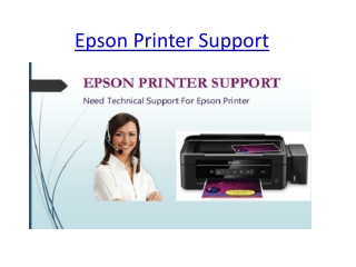 Epson Printer Support | Customer Service Toll-free Number