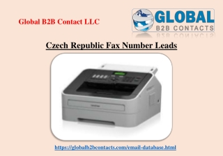 Czech Republic Fax Number Leads