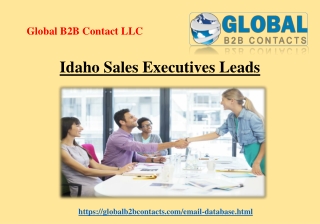 Idaho Sales Executives Leads