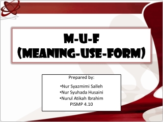 M-U-F (Meaning-Use-Form)
