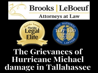 Resolving the issue of Hurricane insurance disputes with our best lawyers