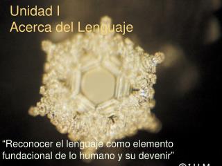 Unidad I Acerca del Lenguaje