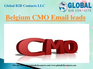 Belgium CMO Email leads