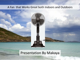 Best Fan for Outdoor and Home use