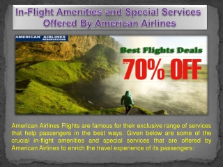 In-Flight Amenities and Special Services Offered By American Airlines