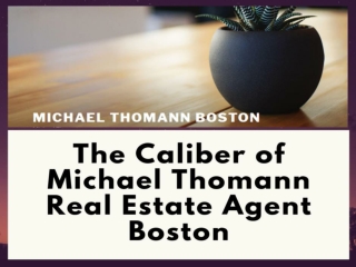 Michael Thomann, Michael Thomann Consulting Boston, Michael Thomann Boston, Michael Thomann Masschusetts, Michael Tho