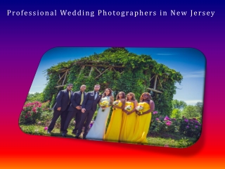 Professional Wedding Photographers in New Jersey