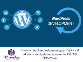 THE BEST WORDPRESS AGENCY IN INDIA IS MATEBIZ