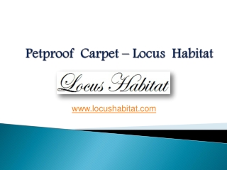 Petproof Carpet – Locus Habitat