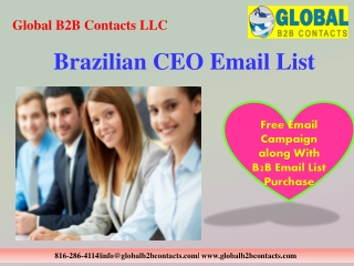 Brazilian CEO Email List