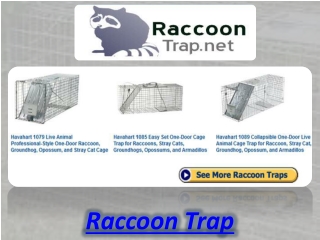 Raccoon Trap