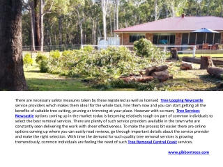 Tree Removal Central Coast & Hedge Trimming Newcastle