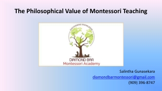 The Philosophical Value of Montessori Teaching