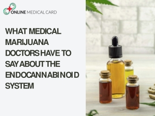 What Medical Marijuana Doctors Have to Say About the Endocannabinoid System