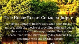 Tree House Resort in Jaipur | Resorts in Jaipur