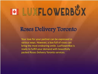 Roses Delivery Toronto