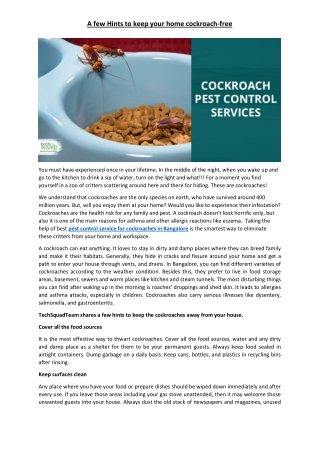 A few Hints to keep your home cockroach-free